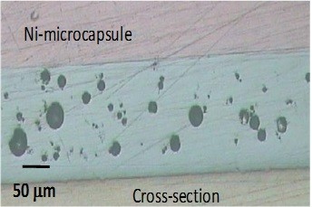CORROSION AND TRIBOLOGY1