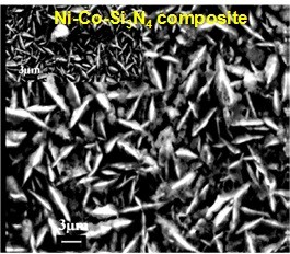 CORROSION AND TRIBOLOGY3