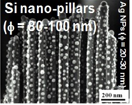 NANOSCALE ARCHITECTURE6