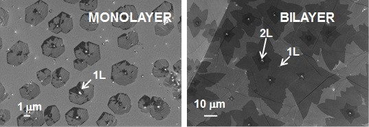 NANOSCALE ARCHITECTURE9